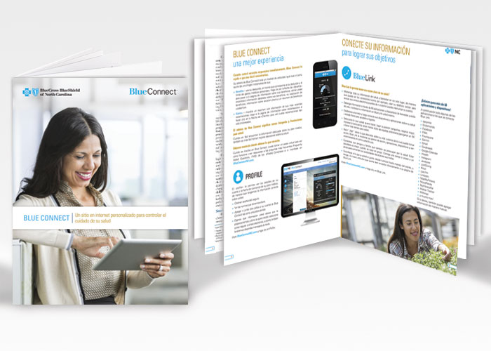Blue Connect booklet